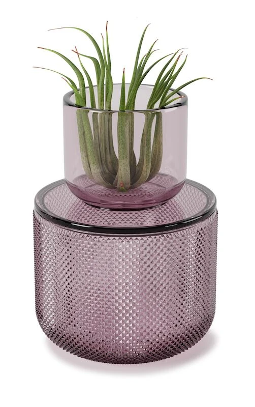 Umbra Allira Säilytyspurkki Violetti 2 Umbra Allira Säilytyspurkki Violetti - Image 2