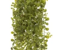 4Living Maksaruoho Amppeli 80 Cm