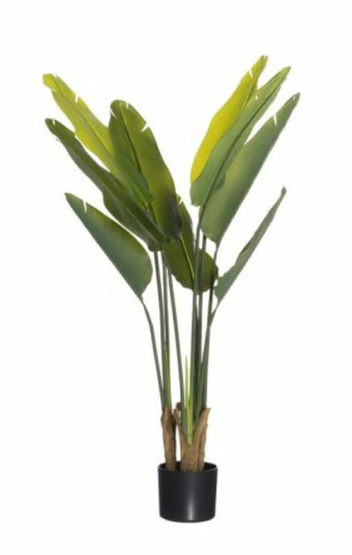 4Living Kolibrikukka 110 Cm Vihreä, Musta Ruukku 3 4Living Kolibrikukka 110 Cm Vihreä, Musta Ruukku - Image 3