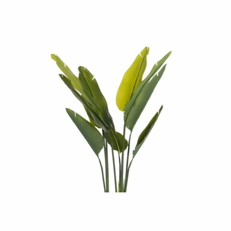 4Living Kolibrikukka 110 Cm Vihreä, Musta Ruukku 2 4Living Kolibrikukka 110 Cm Vihreä, Musta Ruukku - Image 2