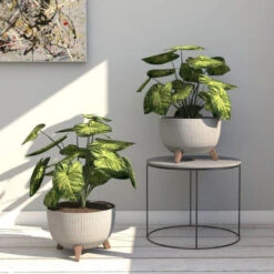 4Living Roma Line ECO Jalallinen Ruukku Ø33 Cm Latte 7 4Living Roma Line ECO Jalallinen Ruukku Ø33 Cm Latte -Yleinen Kotikauppa 4Living roma line eco jalallinen ruukku O47 cm harmaa miljoo