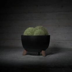 4Living Roma Line ECO Jalallinen Ruukku Ø33 Cm Valkoinen