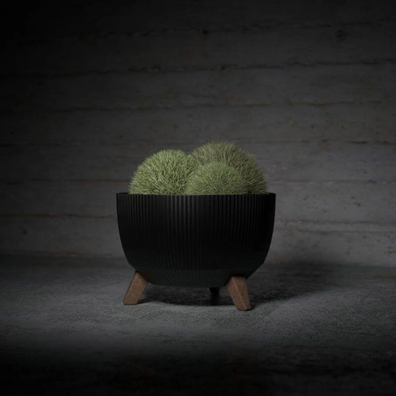 4Living Roma Line ECO Jalallinen Ruukku Ø33 Cm Valkoinen 1 4Living Roma Line ECO Jalallinen Ruukku Ø33 Cm Valkoinen