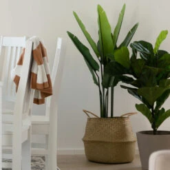 4Living Kolibrikukka 110 Cm Vihreä, Musta Ruukku