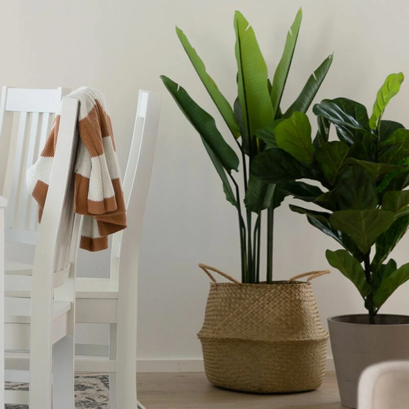 4Living Kolibrikukka 110 Cm Vihreä, Musta Ruukku 1 4Living Kolibrikukka 110 Cm Vihreä, Musta Ruukku