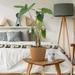 4Living Magnolia ECO Puukomposiitti Ruukku Ø30 Cm Vaaleanharmaa