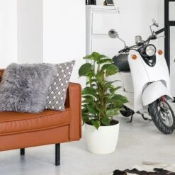 4Living Magnolia ECO Ruukku Ø30 Cm Valkoinen -Yleinen Kotikauppa 4living magnolia eco ruukku 30cm valkoinen olohuoneessa