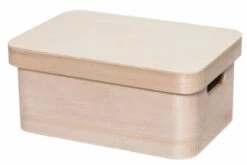 4Living Puulaatikko Kannella S 25x17x11 Cm Luonnonväri