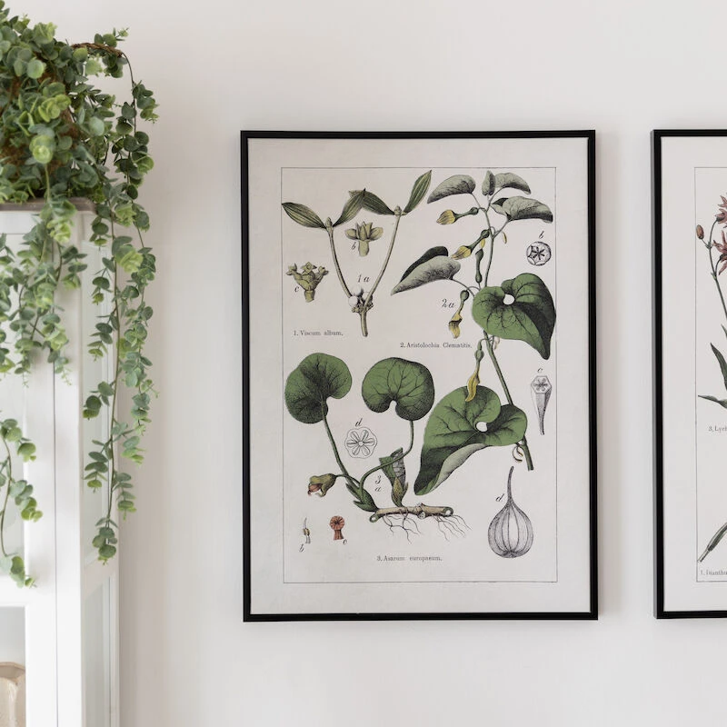 4Living Vihreät Kasvit Taulu 50x70 Cm 5 4Living Vihreät Kasvit Taulu 50x70 Cm - Image 5