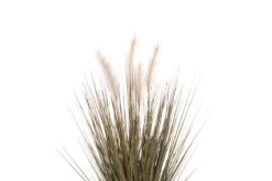 4Living Koristeheinä Ruukussa 56 Cm Vihreä/harmaa 6 4Living Koristeheinä Ruukussa 56 Cm Vihreä/harmaa -Yleinen Kotikauppa 603091 a 01