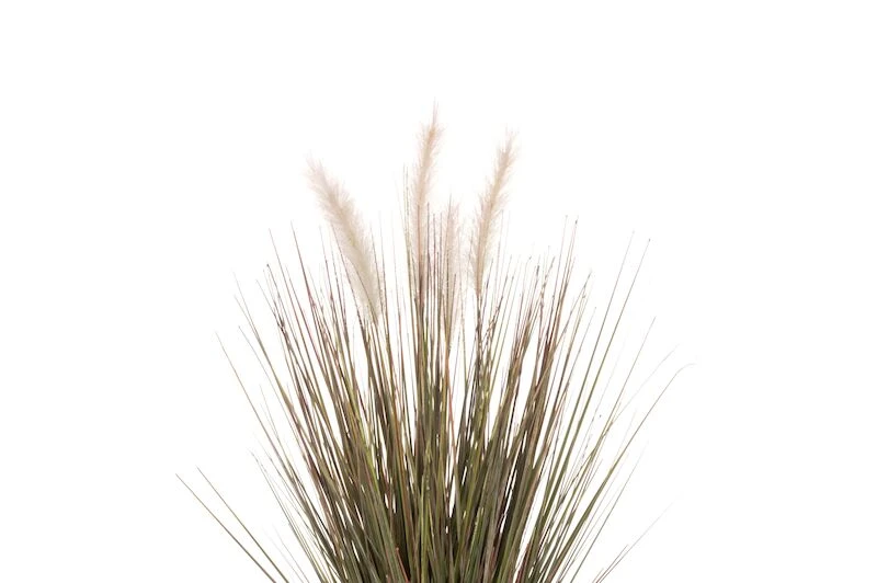 4Living Koristeheinä Ruukussa 56 Cm Vihreä/harmaa 3 4Living Koristeheinä Ruukussa 56 Cm Vihreä/harmaa - Image 3