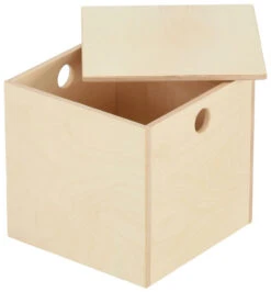 Saari Laatikko Kannella 30x30x30 Cm Lakattu Vaneri