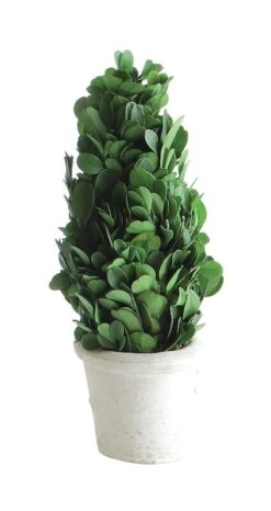 Bloomingville Judy Tekokasvi