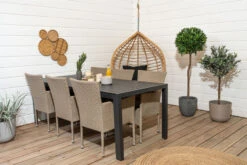 Croton Ihmepensaan Oksa Tekokasvi 11 Croton Ihmepensaan Oksa Tekokasvi -Yleinen Kotikauppa Asta 6 hengen ruokailuryhma web 26 1