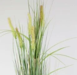 Heinä Cat Tail Grass 70 Cm 10 Heinä Cat Tail Grass 70 Cm -Yleinen Kotikauppa Heina Cat Tail Grass silkkikasvi 70 cm