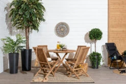 4Living Kentiapalmu Tekokasvi 107 Cm