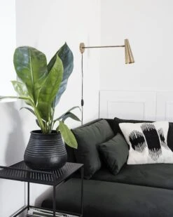 House Doctor Precise Varrellinen Seinävalaisin Messinki -Yleinen Kotikauppa House doctor precise varrellinen seinavalaisin messinki miljoo1