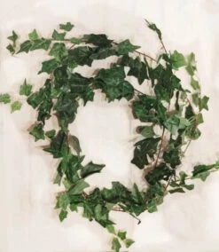 Murattiköynnös Ivy Garland Tekokasvi 180 Cm 3 Murattiköynnös Ivy Garland Tekokasvi 180 Cm -Yleinen Kotikauppa Murattikoynnos Ivy Garland tekokasvi 180