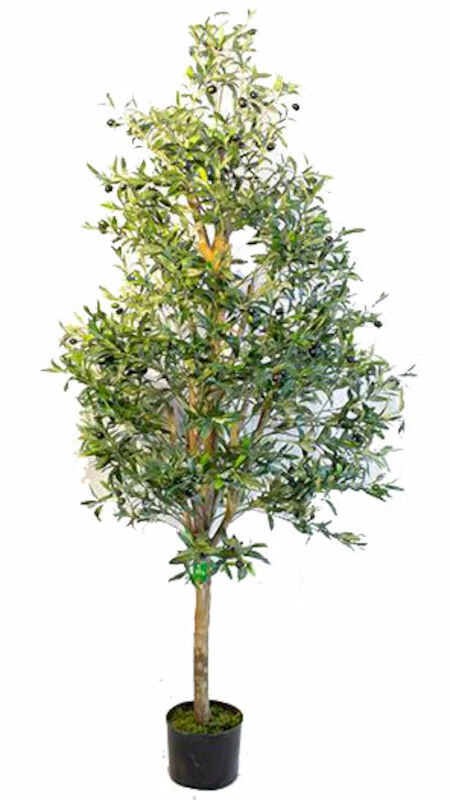 Oliivipuu Yksirunkoinen Tekokasvi 180 Cm 3 Oliivipuu Yksirunkoinen Tekokasvi 180 Cm - Image 3