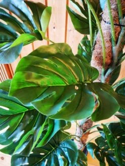 Peikonlehtiköynnös Tekokasvi 140 Cm -Yleinen Kotikauppa Peikonlehtikoynnos 140 cm 1