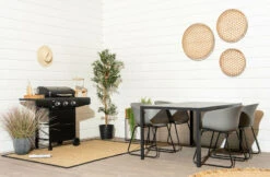 Saarni-Seattle 4-hengen Ruokailuryhmä Käsinojilla, Harmaa 9 Saarni-Seattle 4-hengen Ruokailuryhmä Käsinojilla, Harmaa -Yleinen Kotikauppa Saarni seattle 4 hengen ruokailuryhma miljoossa harmaa pete 1