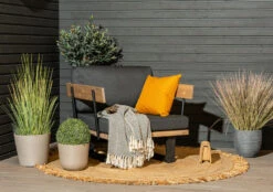 Saima Nojatuoli Antiikkipetsattu/Texsilk Antrasiitti 4200