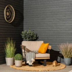 4Living Koristeruoho Ruukussa 76 Cm 11 4Living Koristeruoho Ruukussa 76 Cm -Yleinen Kotikauppa Saima nojatuoli kasinojilla miljoossa pete 2