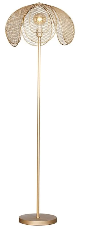 Sessak Daisy Lattiavalaisin Kulta 1 Sessak Daisy Lattiavalaisin Kulta