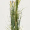 Heinä Cat Tail Grass 70 Cm