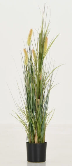 Heinä Cat Tail Grass 70 Cm