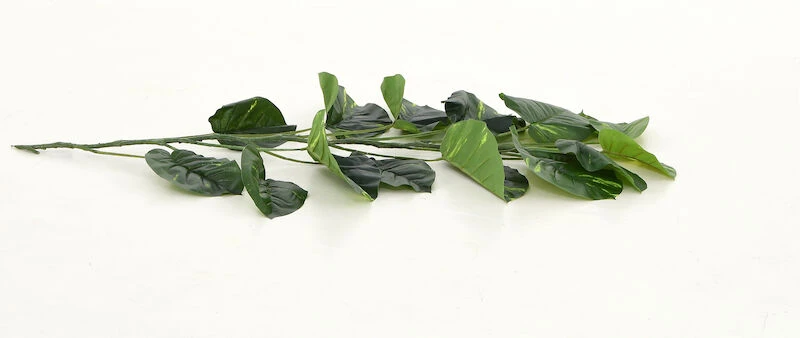 Kultaköynnös 140 Cm 1 Kultaköynnös 140 Cm