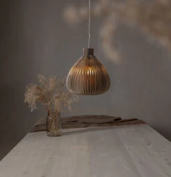 Star Trading Honeycomb Paperivarjostin 30 Cm Beige 5 Star Trading Honeycomb Paperivarjostin 30 Cm Beige -Yleinen Kotikauppa Star Trading Honeycomb paperivarjostin 3020cm beige miljoo