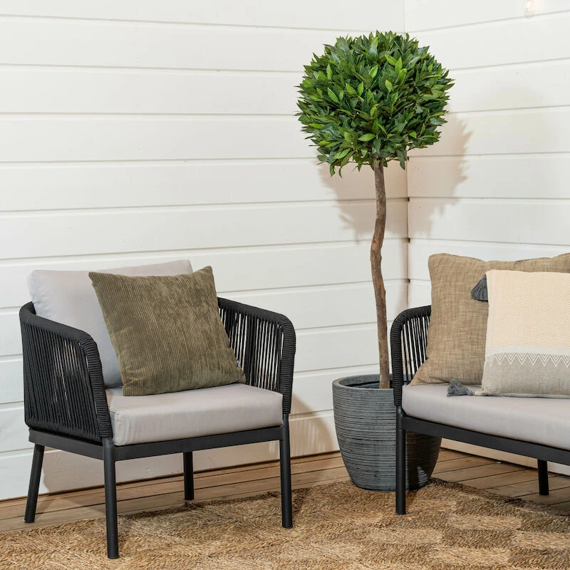 Tuohi Nojatuoli Musta/harmaa 3 Tuohi Nojatuoli Musta/harmaa - Image 3