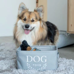 Weiste Koirat Kangaskori 30x20x22 Cm Harmaa -Yleinen Kotikauppa Weiste koirat kangaskori harmaa miljoossa web 14