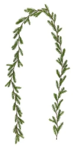 Winteria Köynnös Kuusi 180 Cm