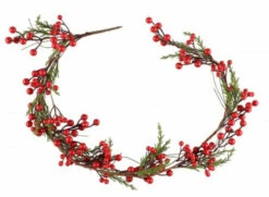 Winteria Marjat Köynnös 120 Cm