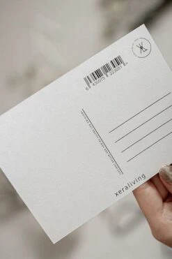 Xeraliving CATS Onnittelukortti 10,5x14,8 Cm