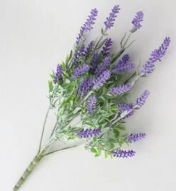 Yrttilaventeli Tekokasvi