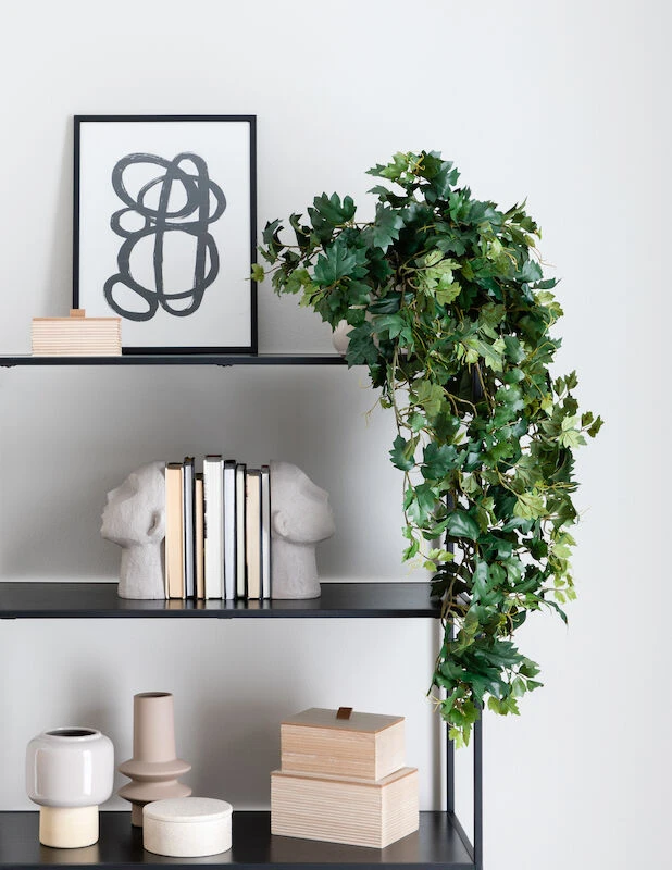 Cissus Grape Ivy, Iso Ellinkissuspensas Tekokasvi 1 Cissus Grape Ivy, Iso Ellinkissuspensas Tekokasvi