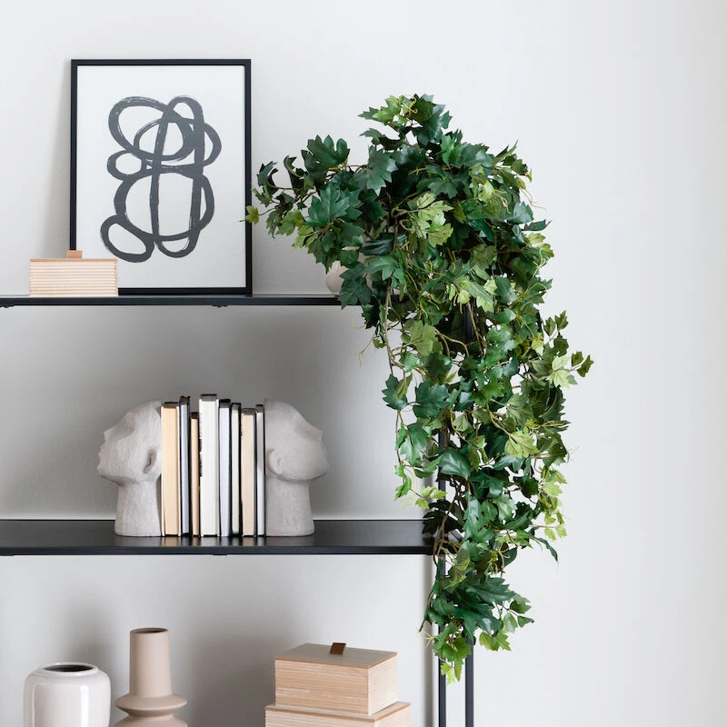 Cissus Grape Ivy, Iso Ellinkissuspensas Tekokasvi 2 Cissus Grape Ivy, Iso Ellinkissuspensas Tekokasvi - Image 2