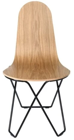 Cuero Design Cactus Tuoli Tammi/musta -Yleinen Kotikauppa cuero design cactus tuoli tammi musta 1