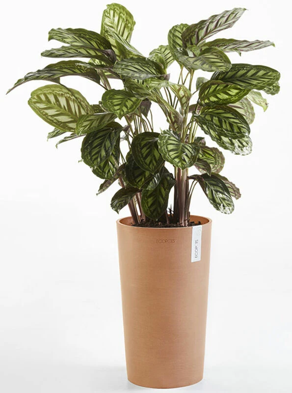 Ecopots Amsterdam Keskikorkea Ruukku 50 Cm Terracotta 1 Ecopots Amsterdam Keskikorkea Ruukku 50 Cm Terracotta