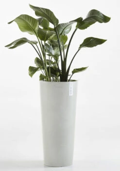 Ecopots Amsterdam Korkea Ruukku 76 Cm Valkoharmaa
