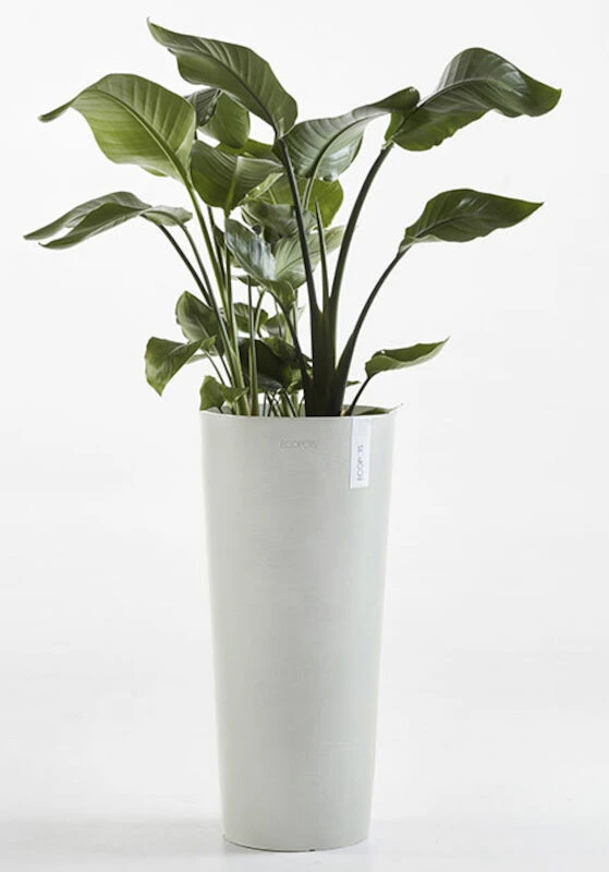 Ecopots Amsterdam Korkea Ruukku 76 Cm Valkoharmaa 1 Ecopots Amsterdam Korkea Ruukku 76 Cm Valkoharmaa