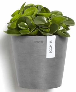Ecopots Amsterdam Seinäruukku 20 Cm Harmaa 6 Ecopots Amsterdam Seinäruukku 20 Cm Harmaa -Yleinen Kotikauppa ecopots amsterdam seinaruukku 20cm harmaa3
