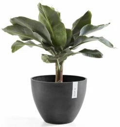 Ecopots Antwerpen Ruukku Ø30 Cm Tummanharmaa -Yleinen Kotikauppa ecopots antwerpen 30 ruukku tummanharmaa1