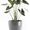 Ecopots Sankara Ruukku Ø40 Cm Harmaa