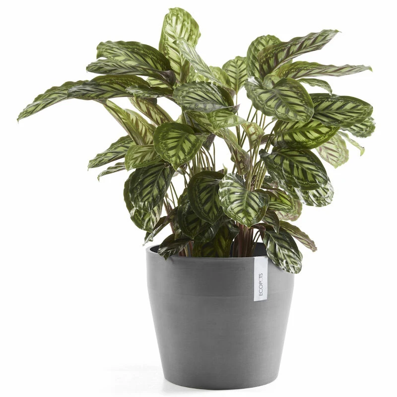 Ecopots Sankara Ruukku Ø40 Cm Harmaa 2 Ecopots Sankara Ruukku Ø40 Cm Harmaa - Image 2