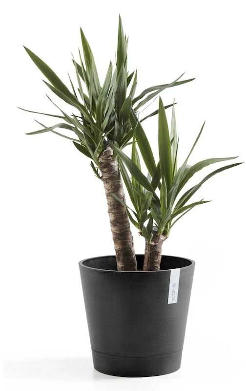 Ecopots Venetsia Ruukku 30 Cm Tummanharmaa 4 Ecopots Venetsia Ruukku 30 Cm Tummanharmaa - Image 4