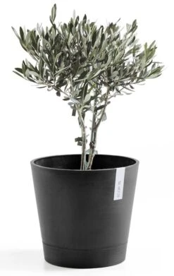 Ecopots Venetsia Ruukku 30 Cm Tummanharmaa 7 Ecopots Venetsia Ruukku 30 Cm Tummanharmaa -Yleinen Kotikauppa ecopots venetsia ruukku 30cm tummanharmaa 2